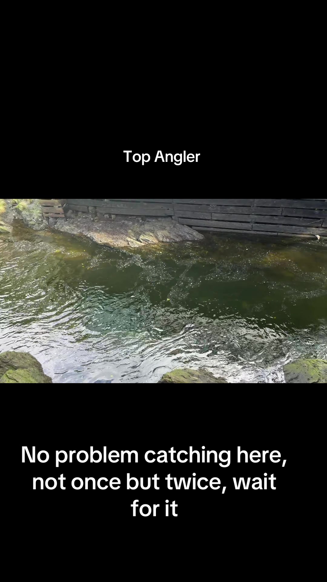 @janner_carper