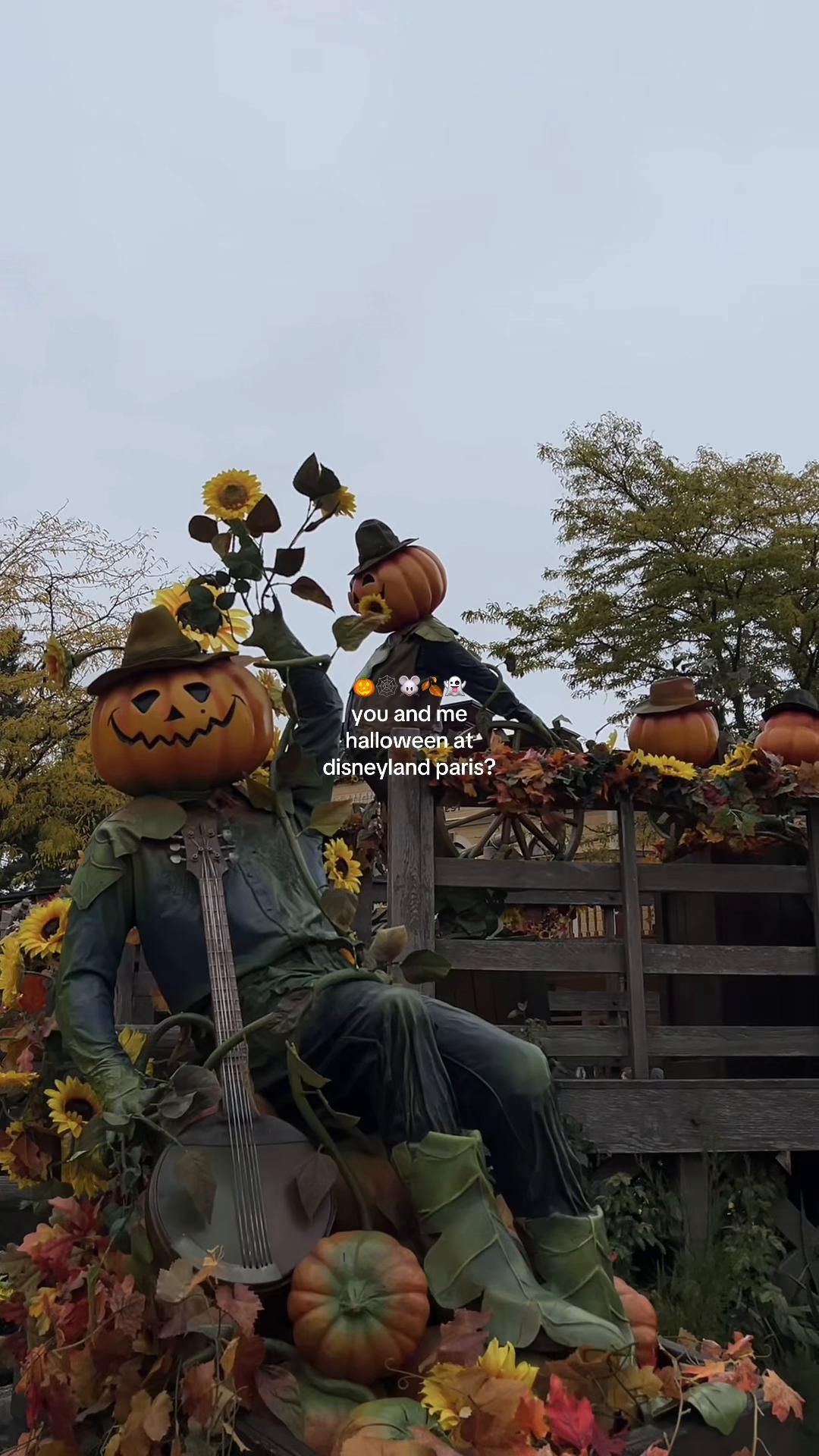 @alyssa 🍂