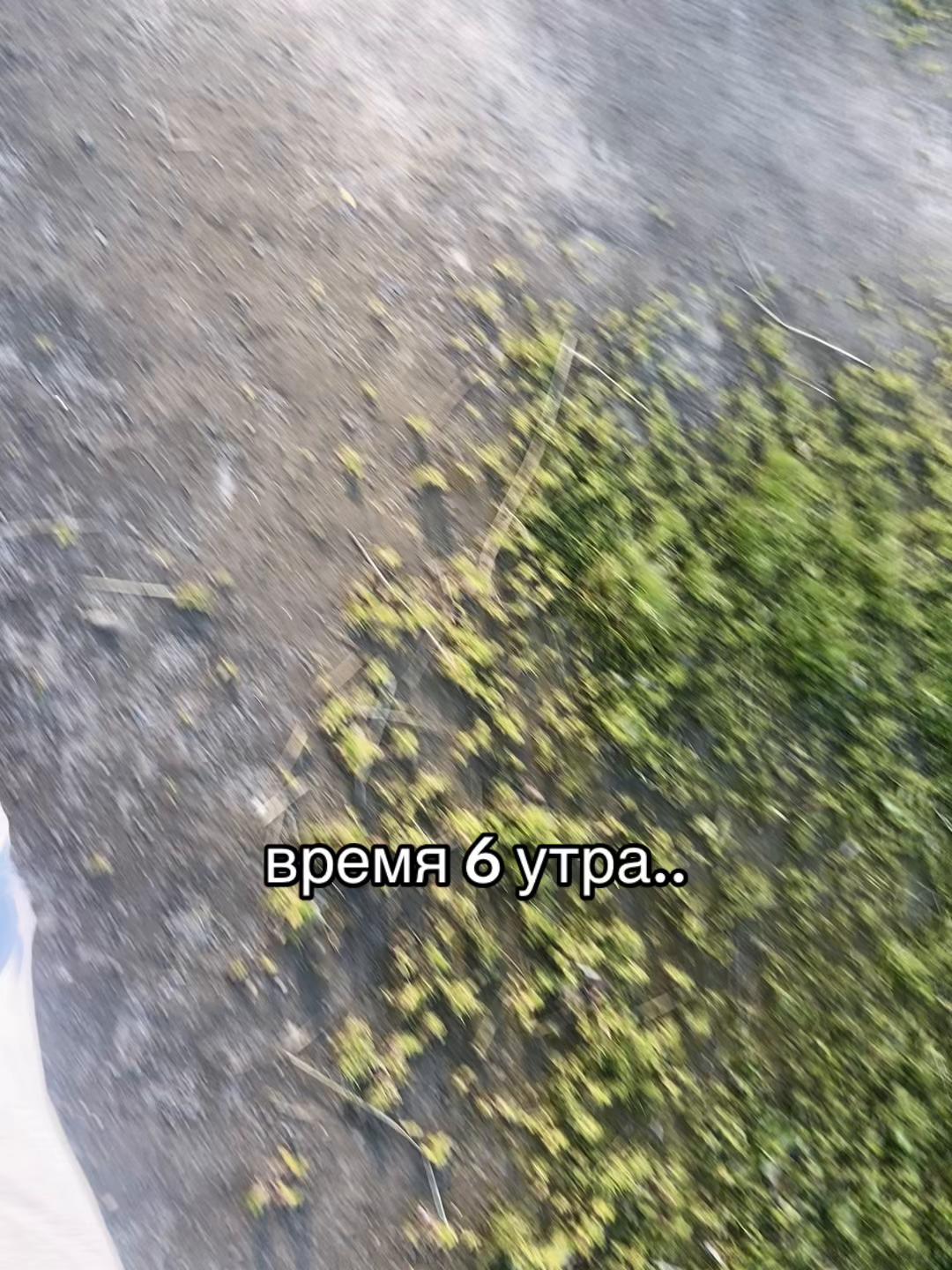@Krestovvvskaya