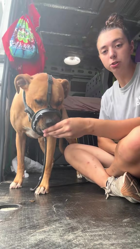 @Sammy | Dog Trainer