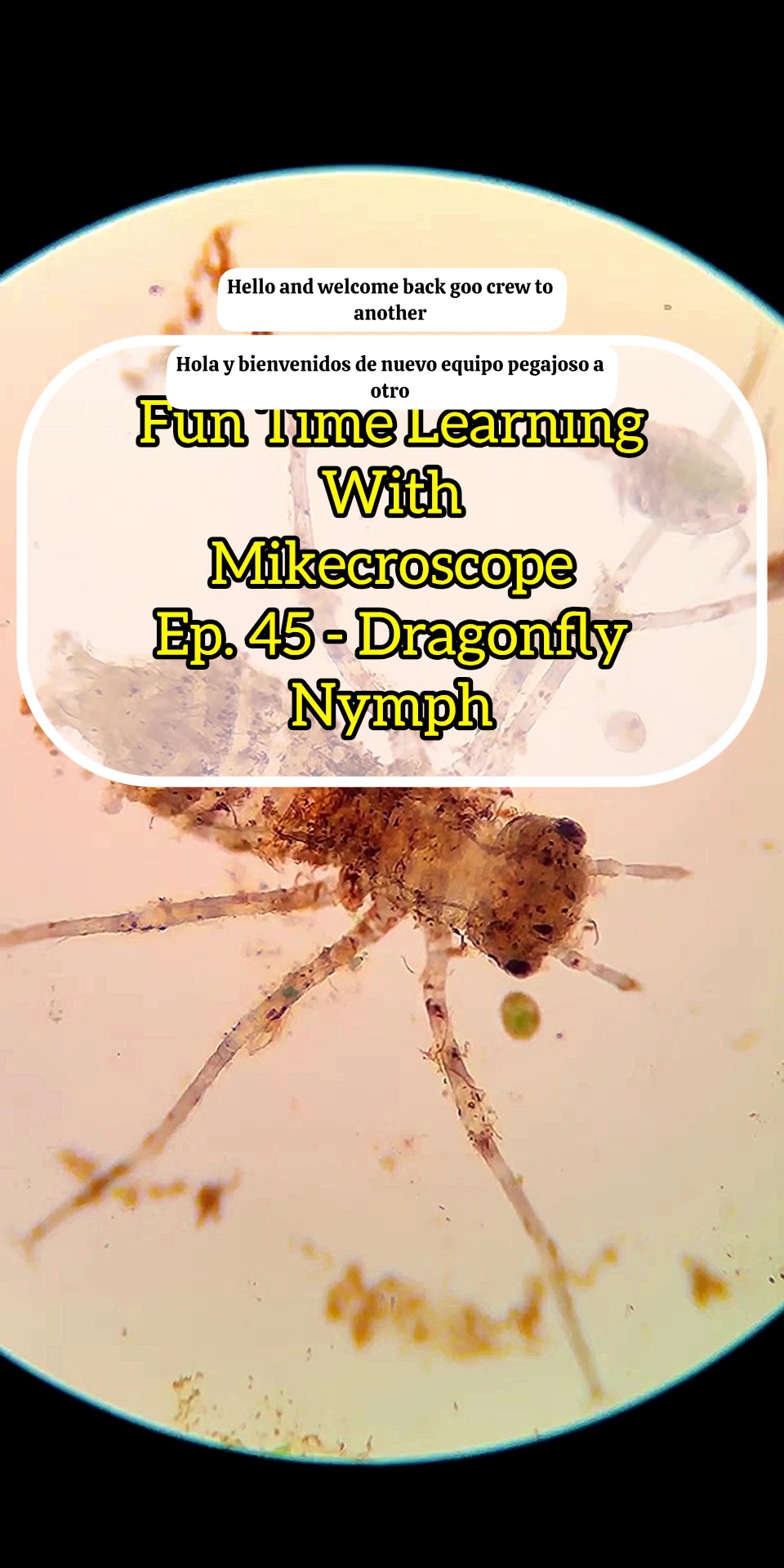 @Mikecroscope