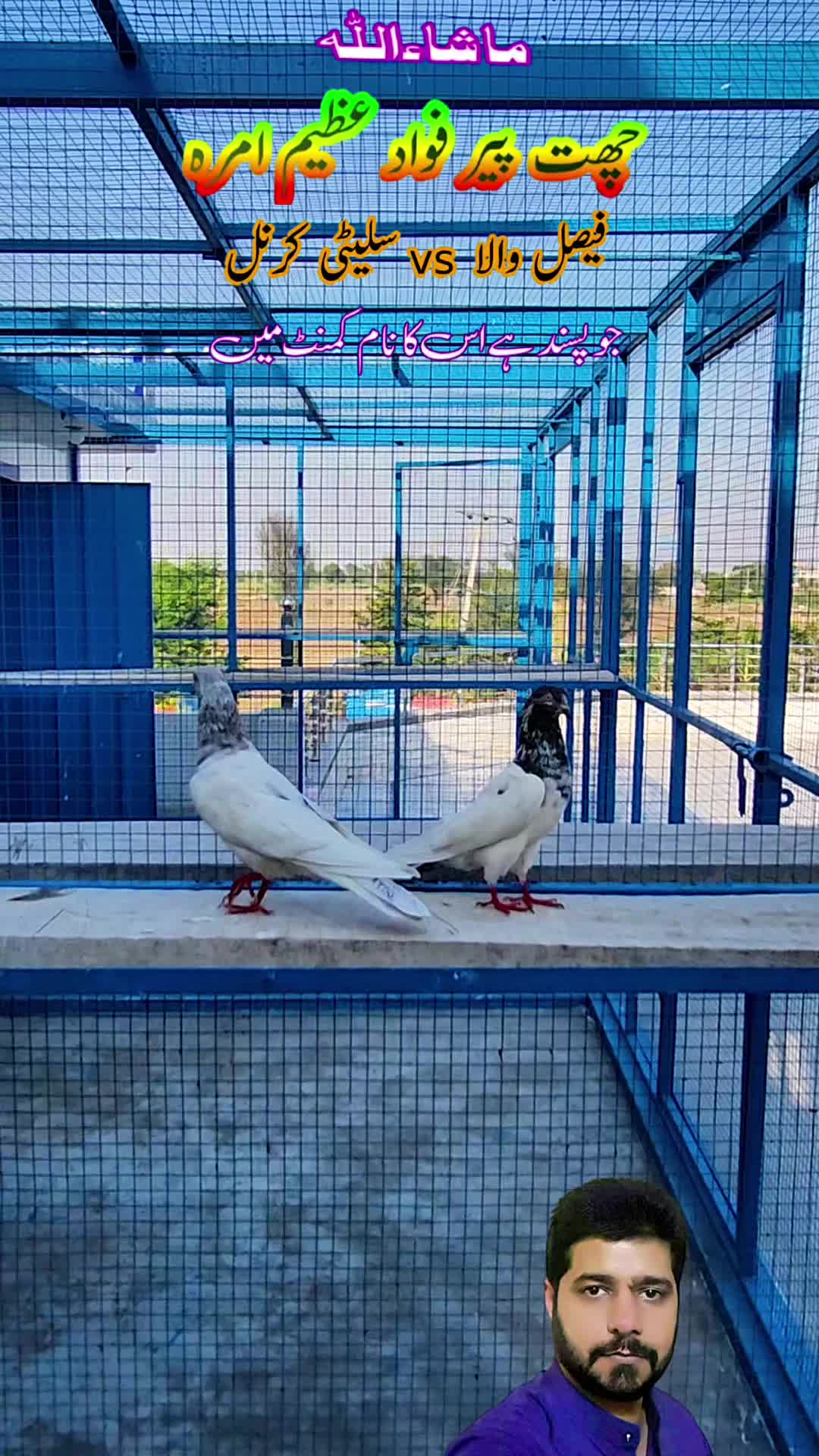 @amrakalan5