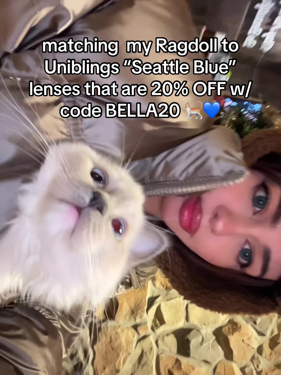@🎀 Bella 🎀