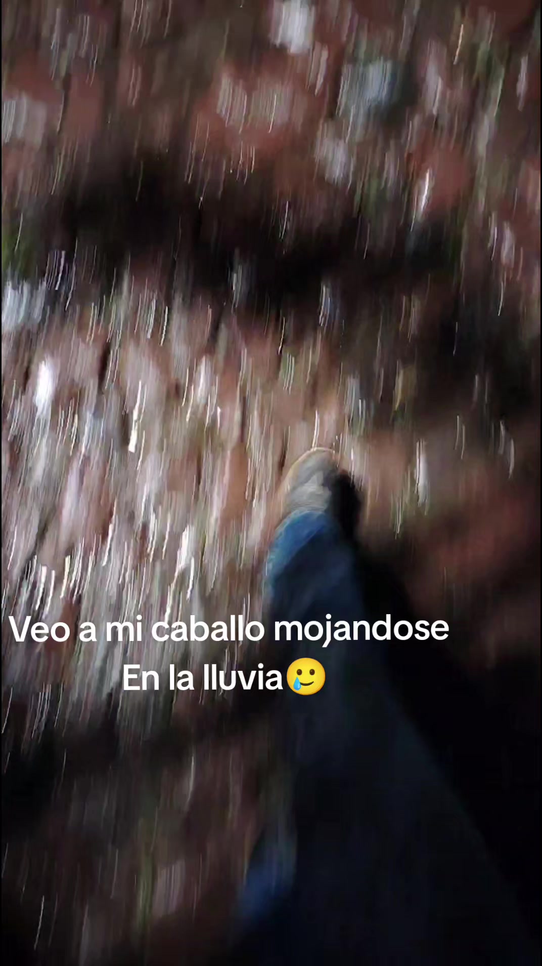 @💗🐎Tu vaquerita🐎💗