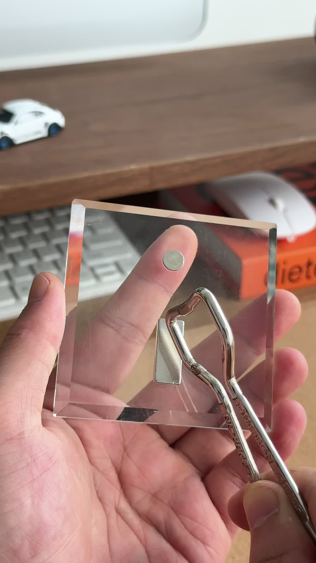 @Nikola Toy
