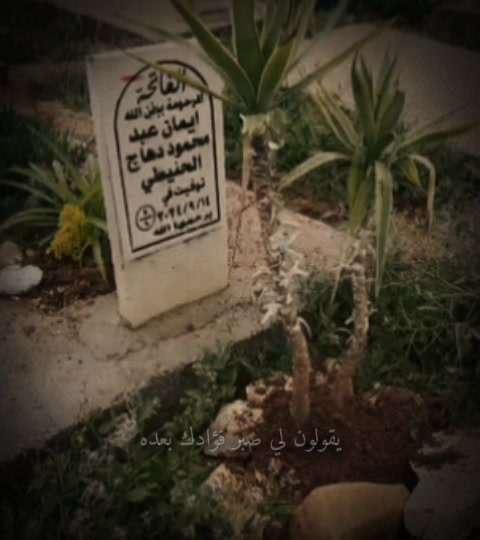@Roses Al-Abdallat🥰