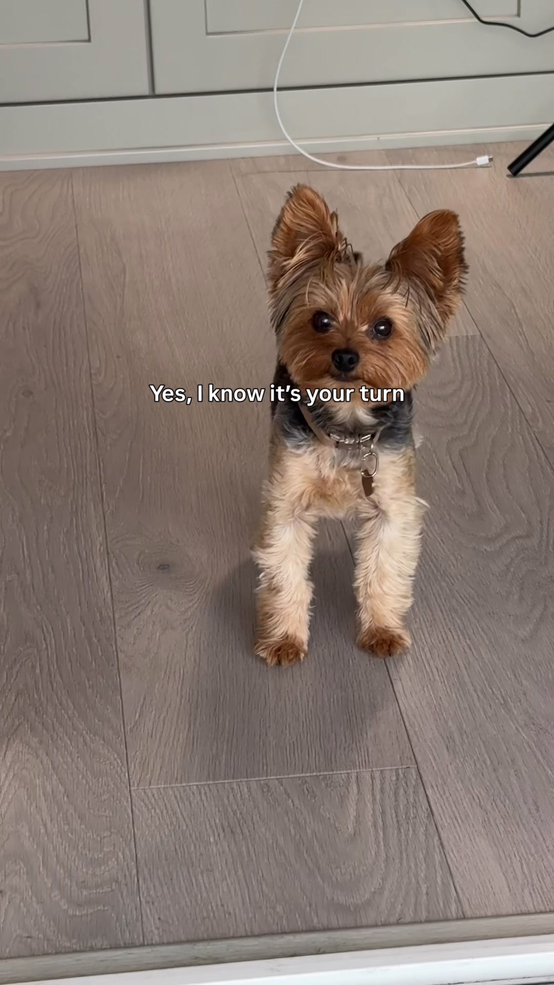 @Lilsipper
