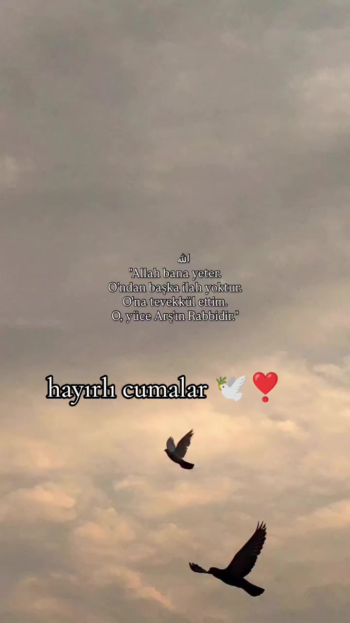 @Zeyno günn