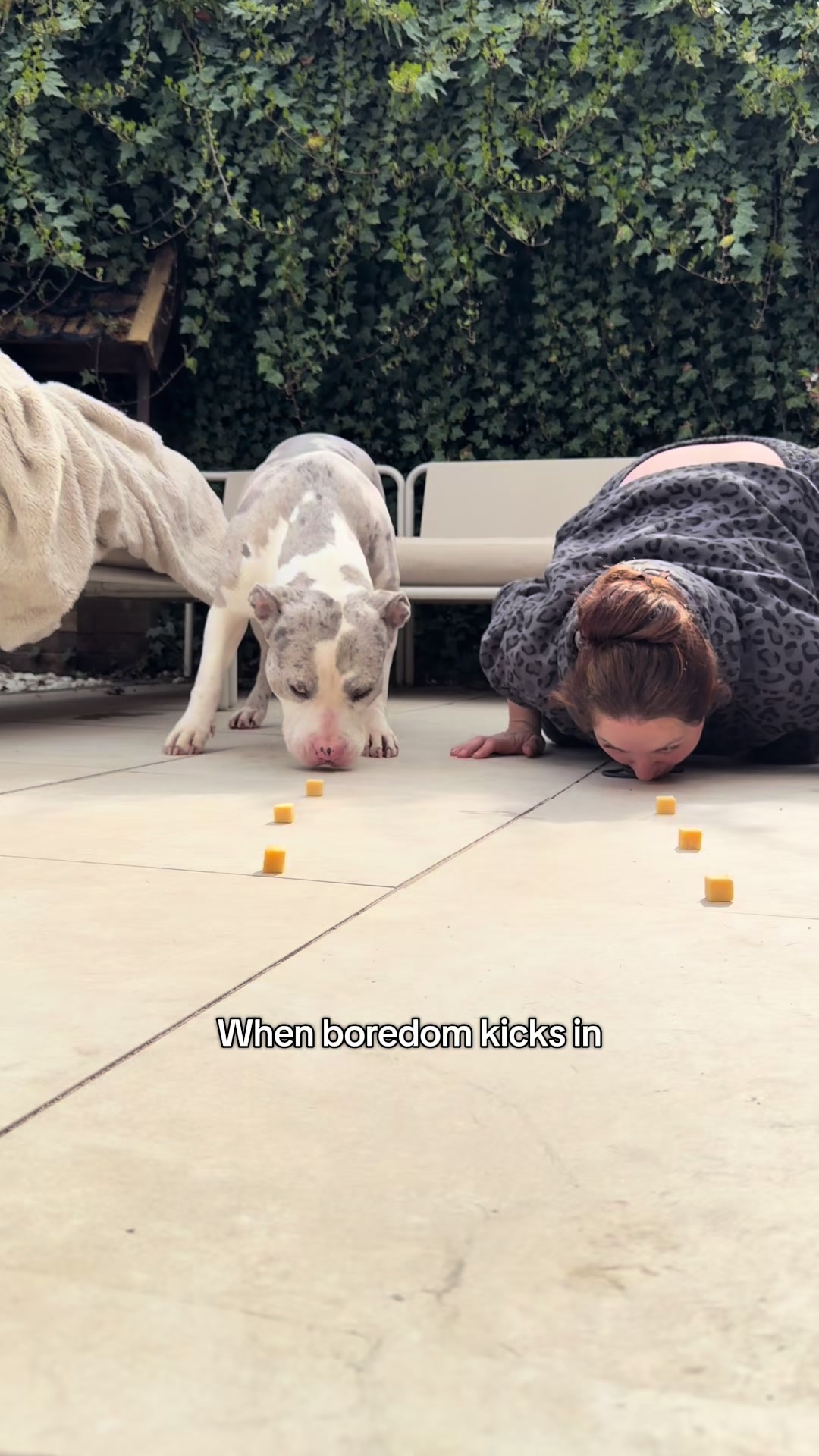 @Maren & the bundle of bullies