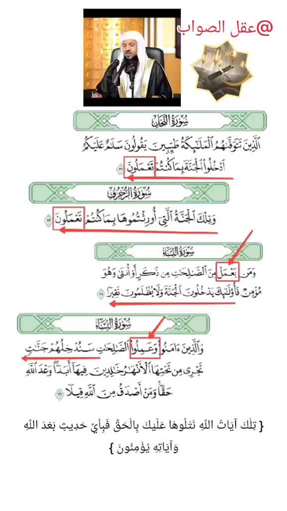 @عقل الصواب