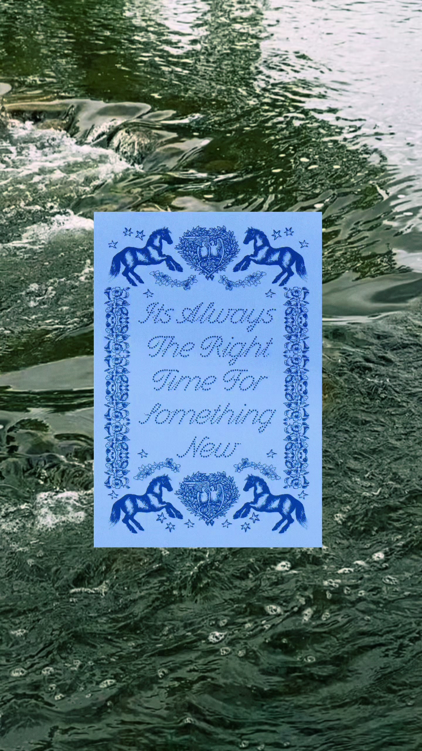 @paulina | delicate type