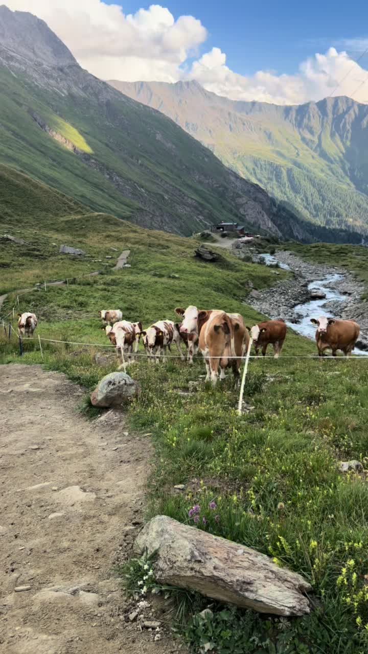 @Hiking 💚TaTry💚