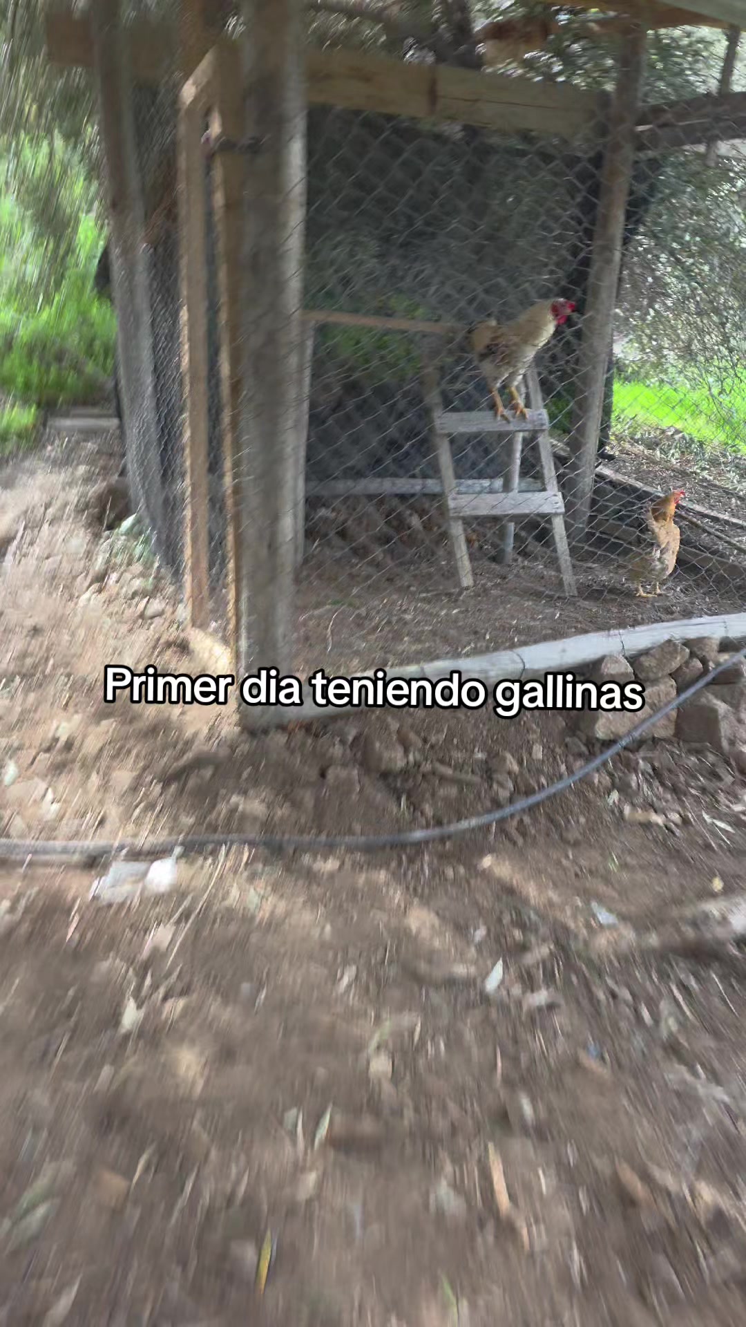 @Dani.exe