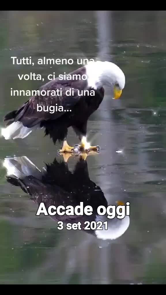 @Sally Dav&igrave;d