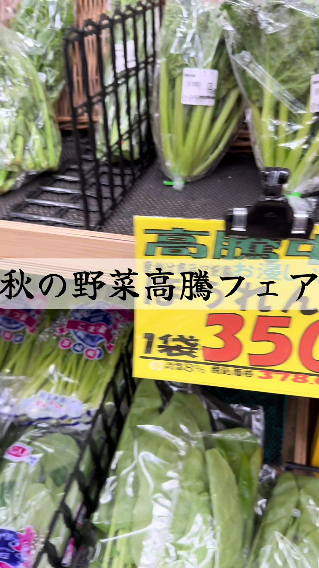 @kado