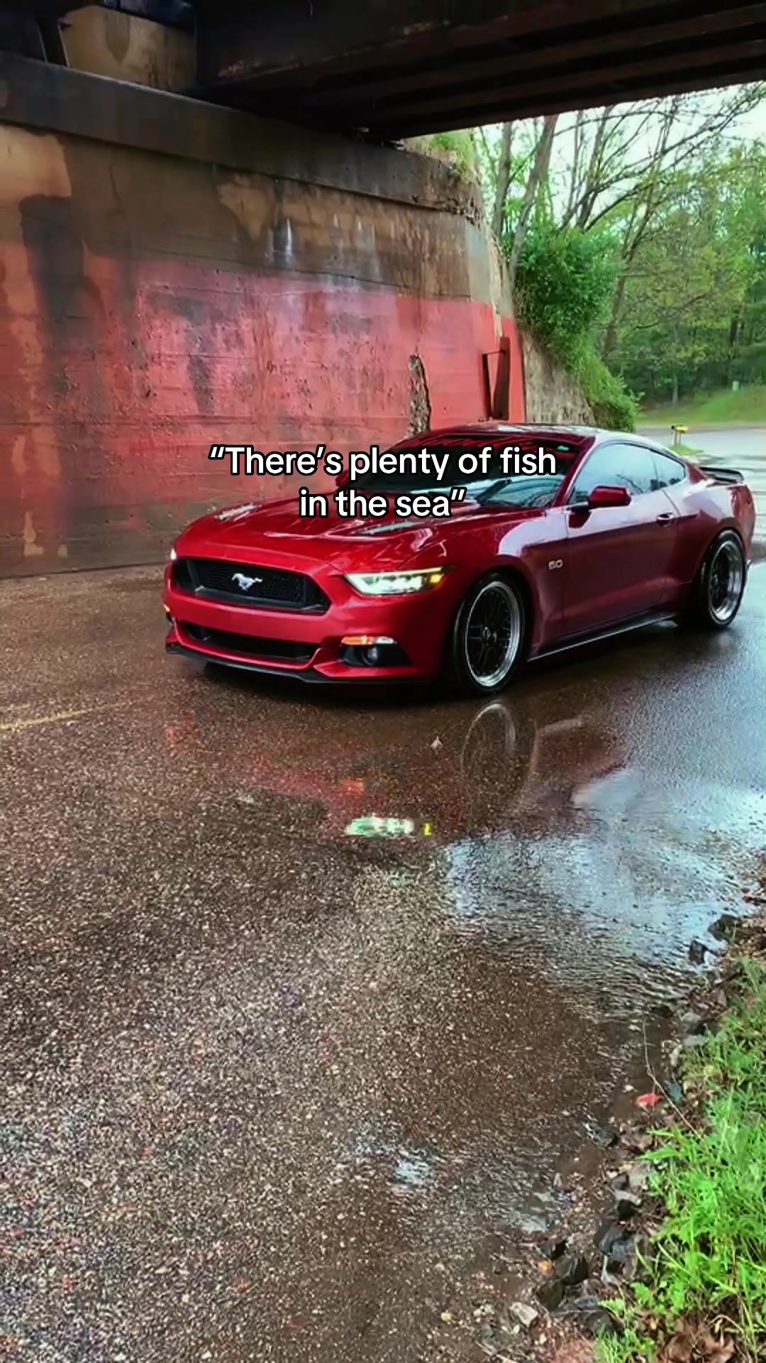 @Elijah Turner