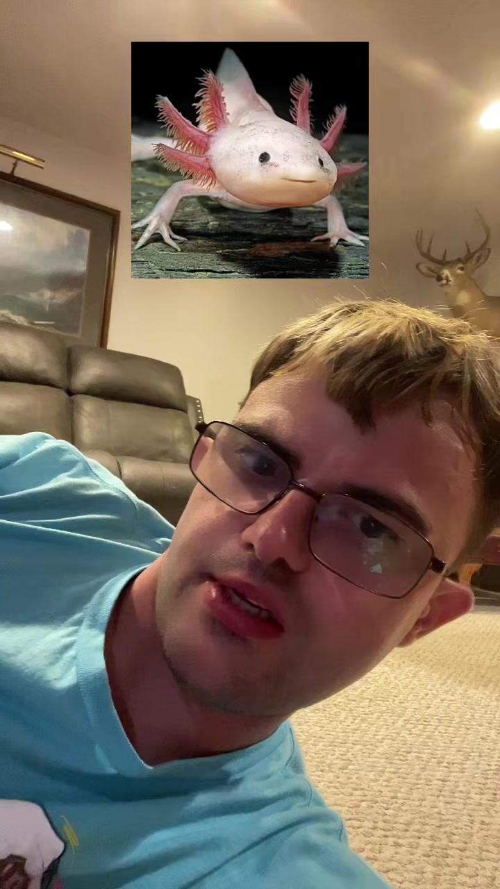 @Awesomeheat25