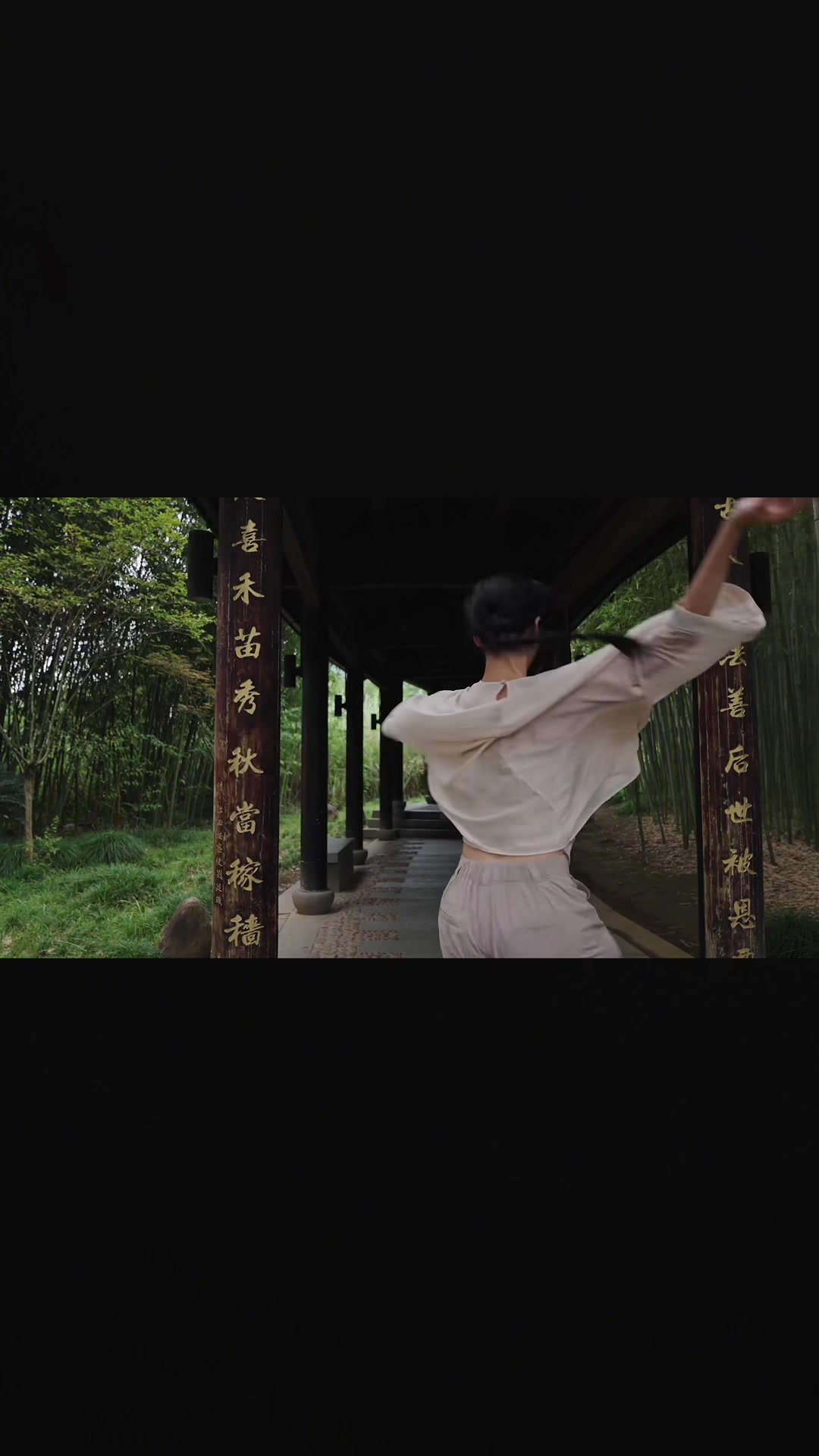@kungfu shenyun
