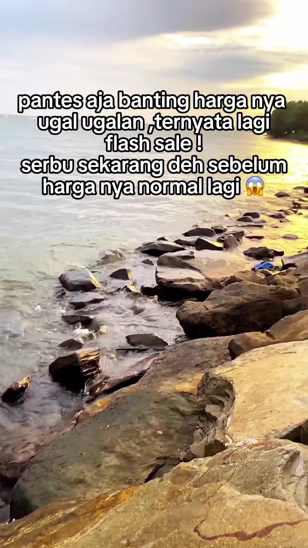 @LightSpeedIndonesia