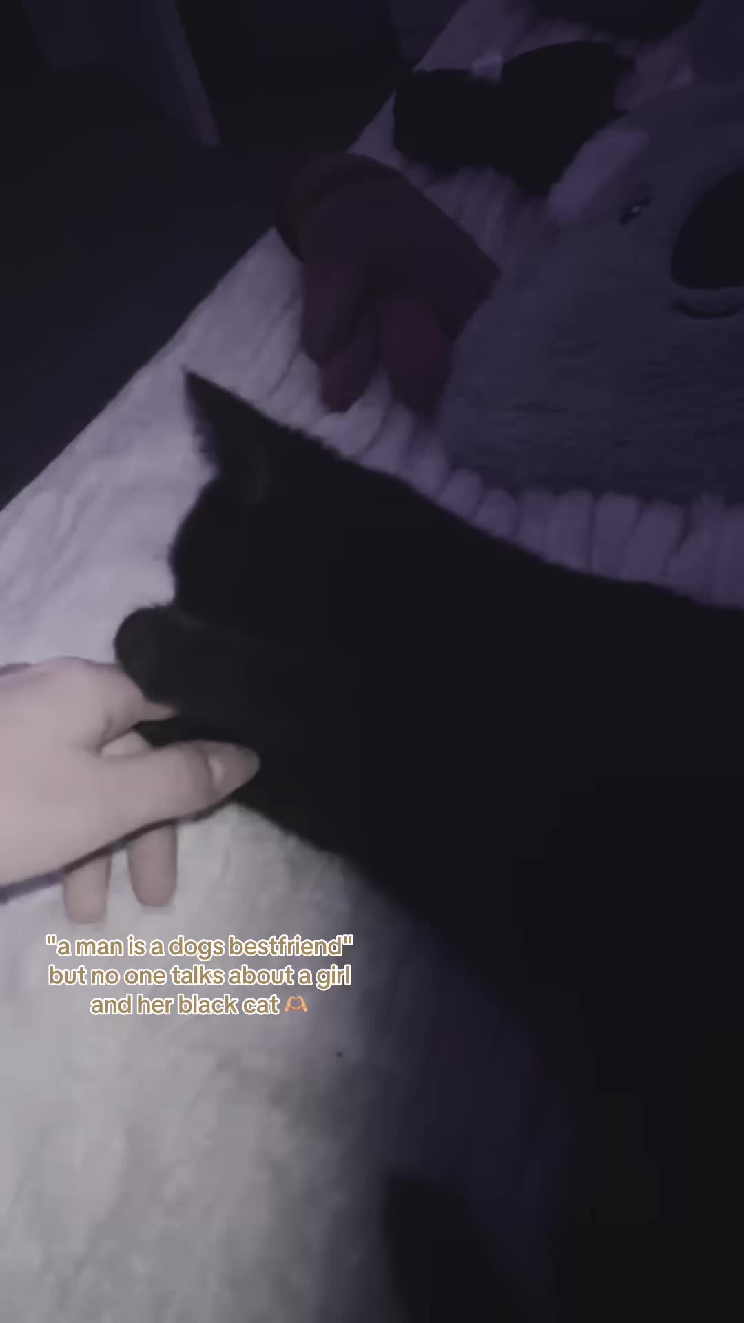 @Виолетта