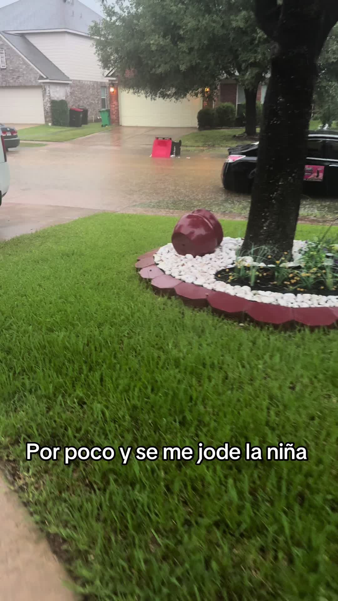 @yade_cubanita