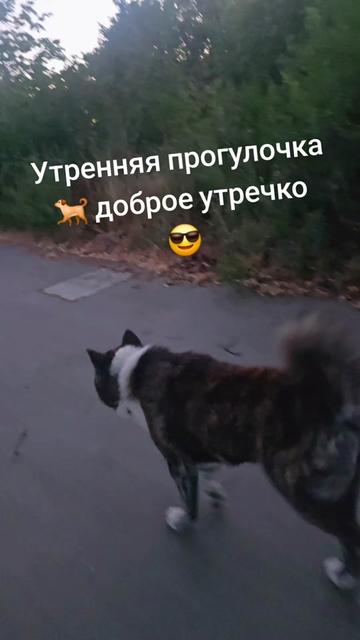 @🇰🇿Dimidrol 🇩🇪