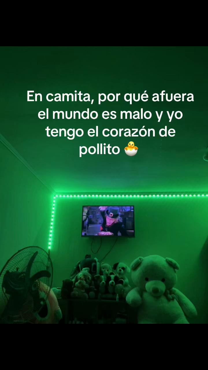 @Rosangela🌸🌙