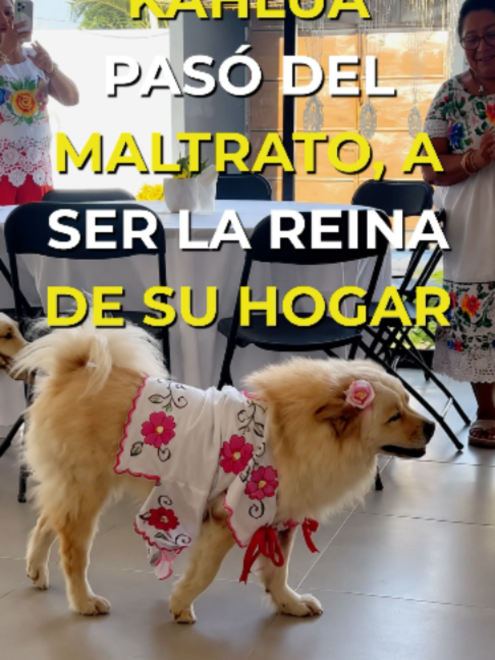 @Con Acento