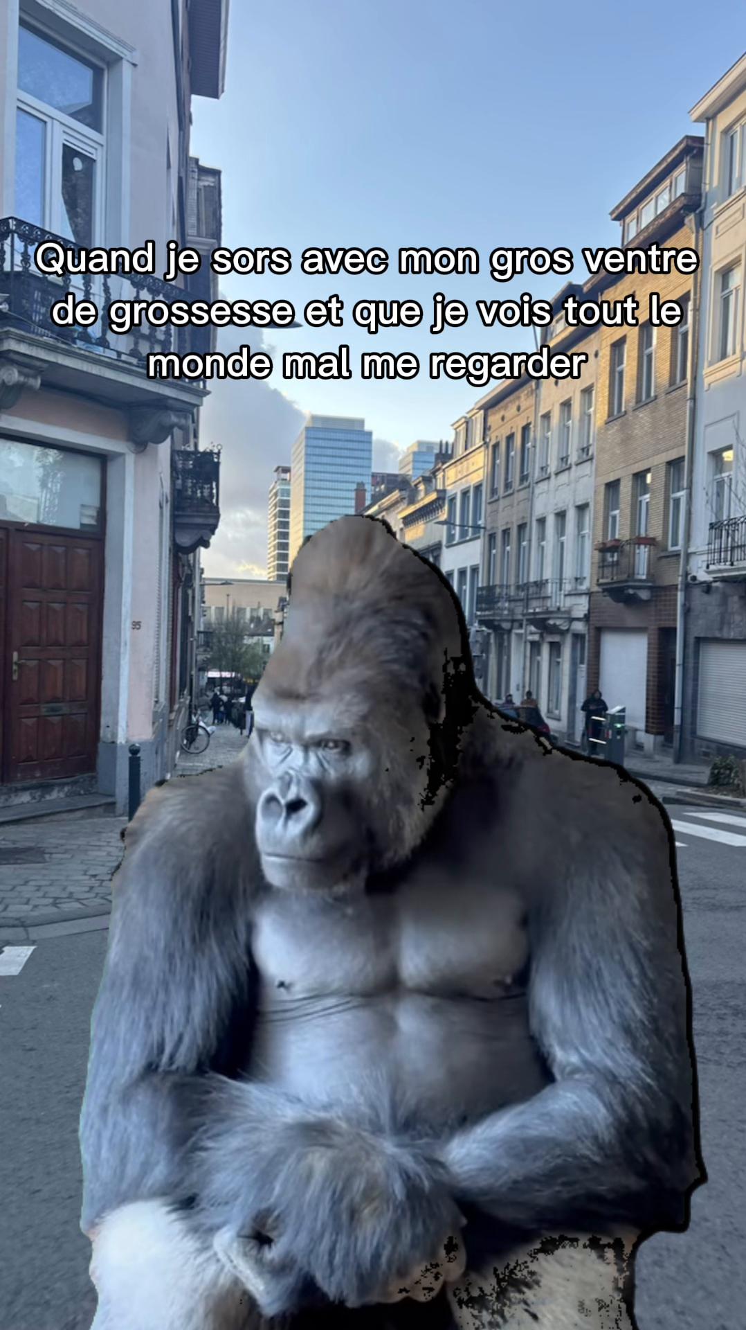 @Ash😶&zwj;🌫️