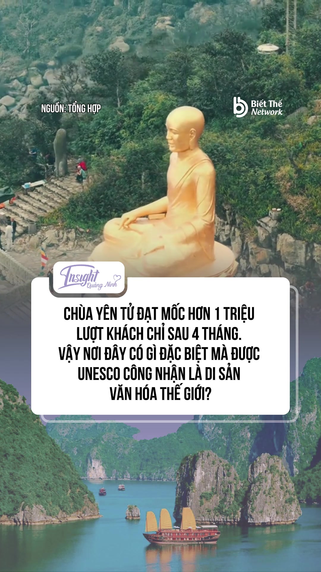 @Insight Quảng Ninh