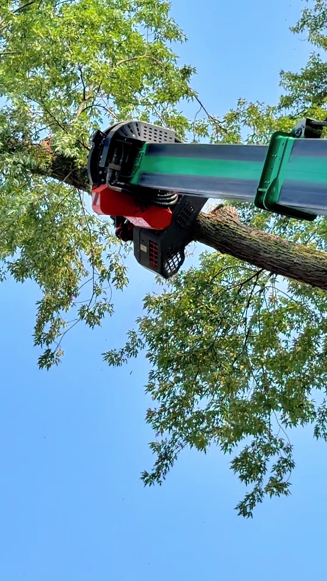 @kravitztreeservice