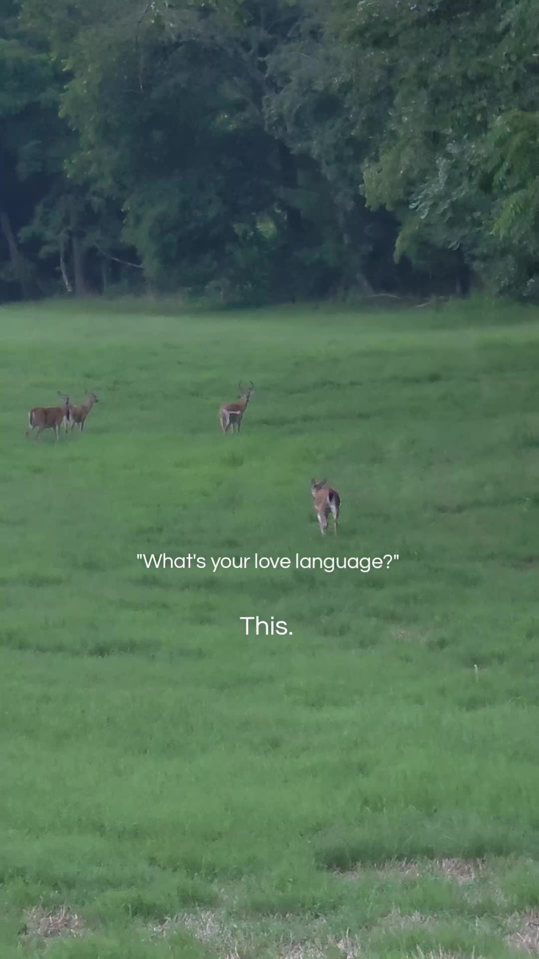 @Jenn🎣🦌🦃