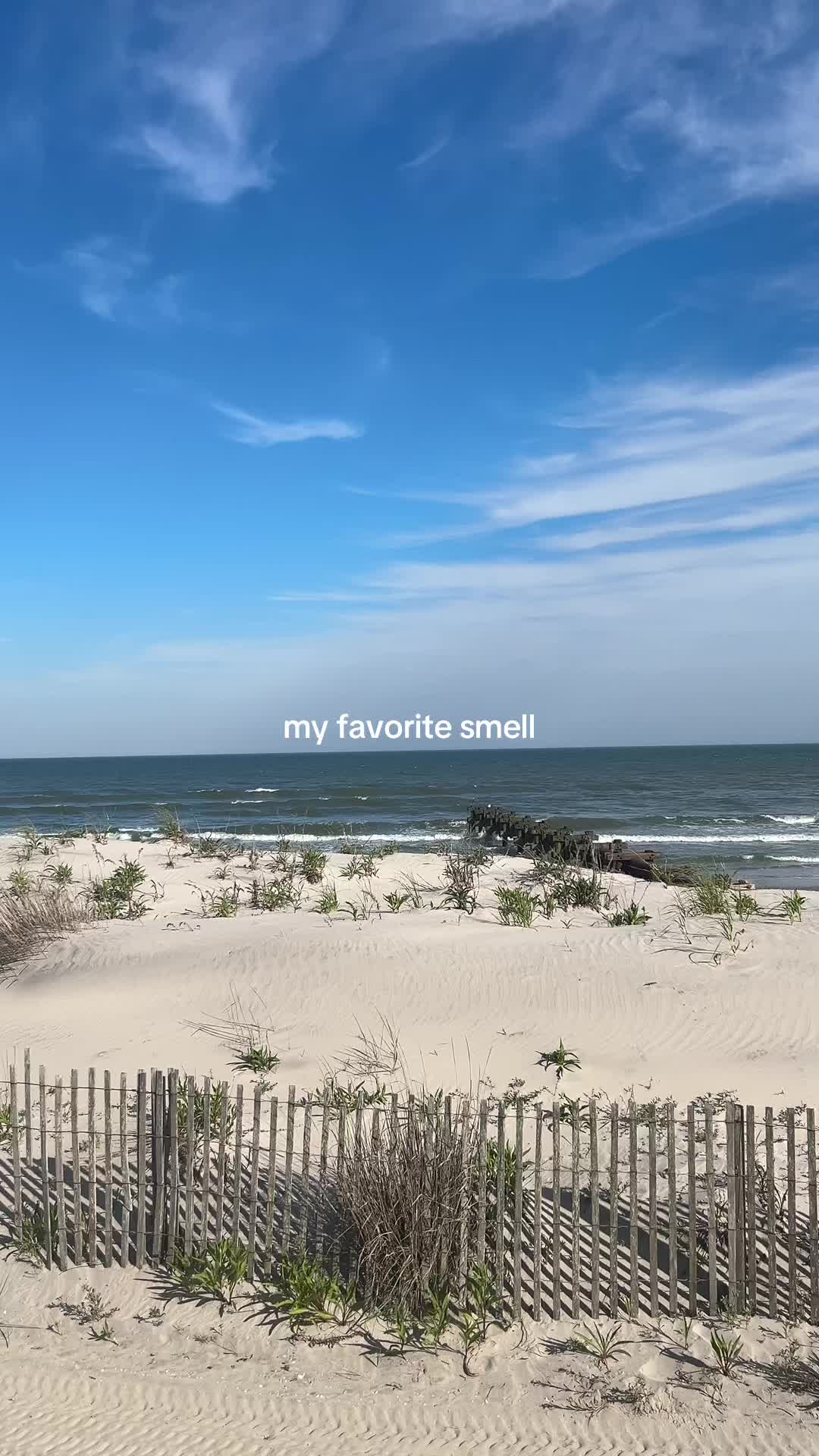 @courtney 🐠🧘&zwj;♀️💭