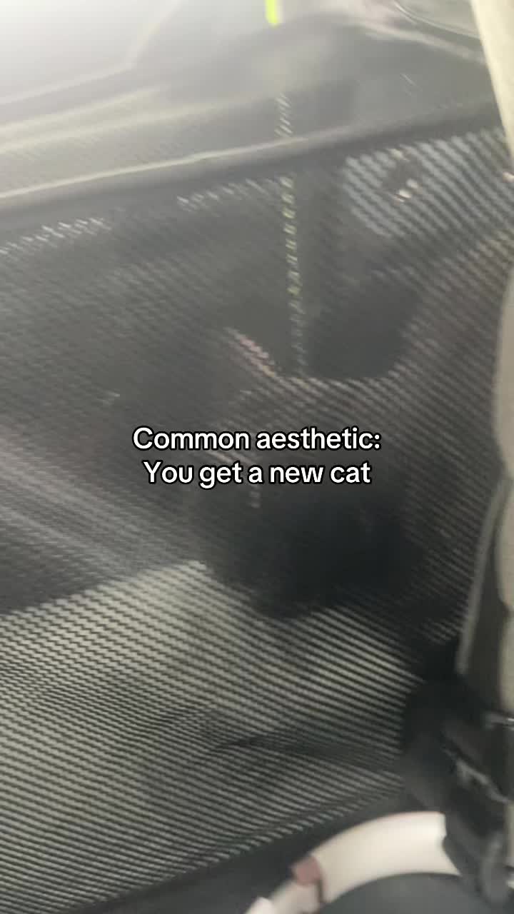 @Erica