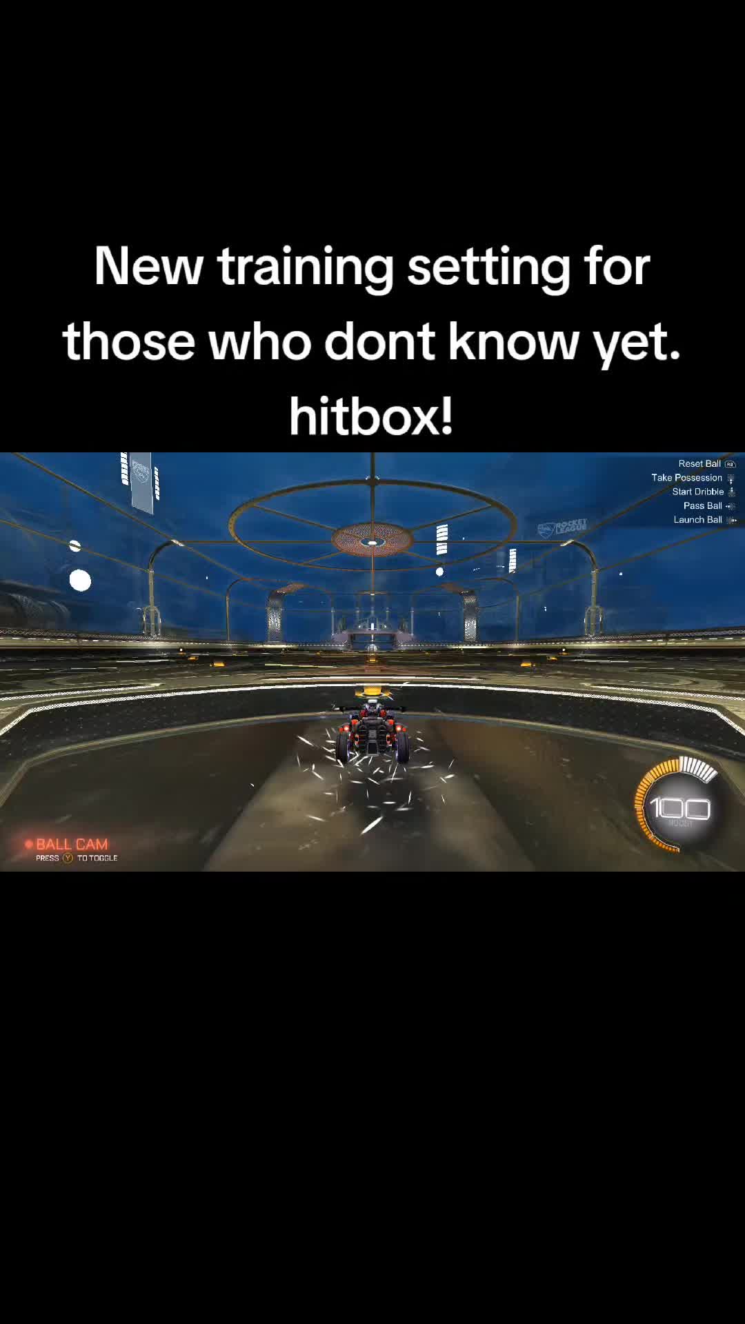 @That1BearGuy - RL