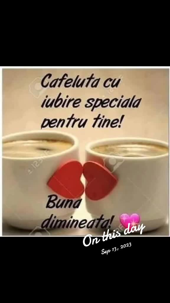 @Ruxandra Borcea
