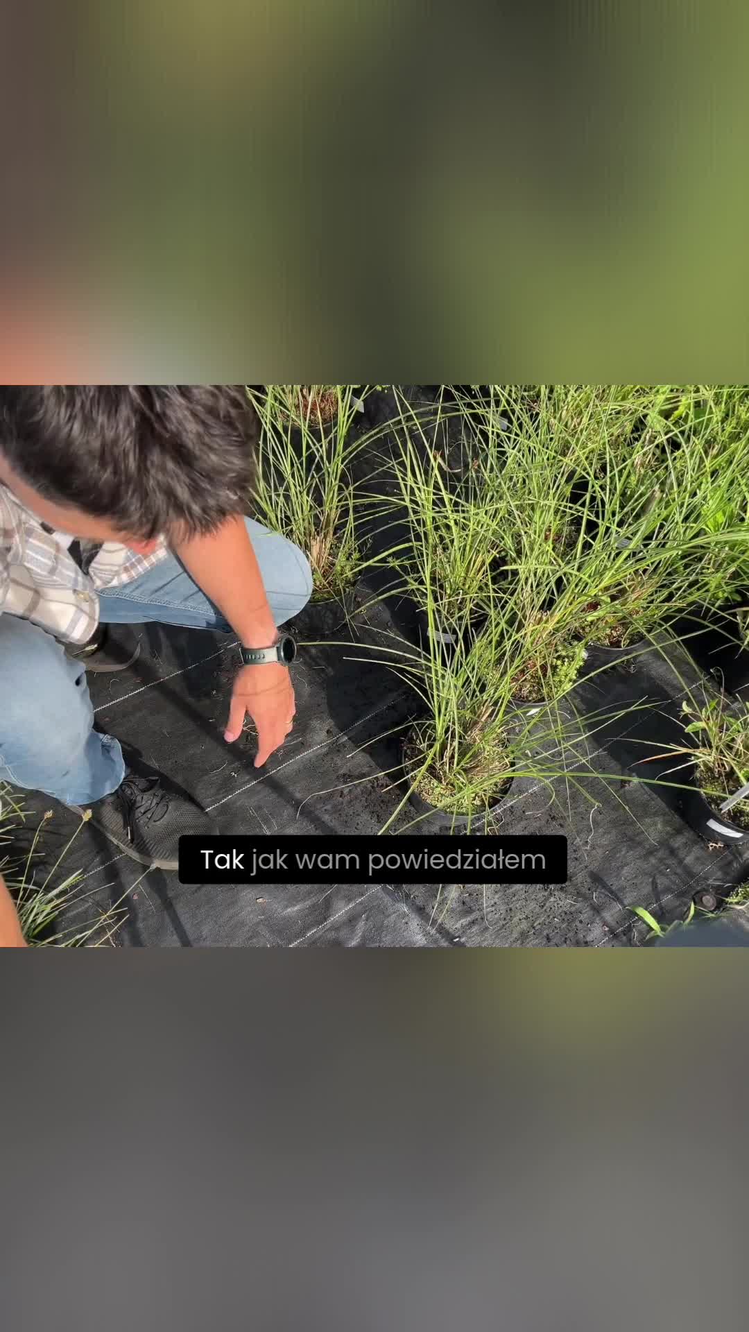 @Ogrodnik Doskonały