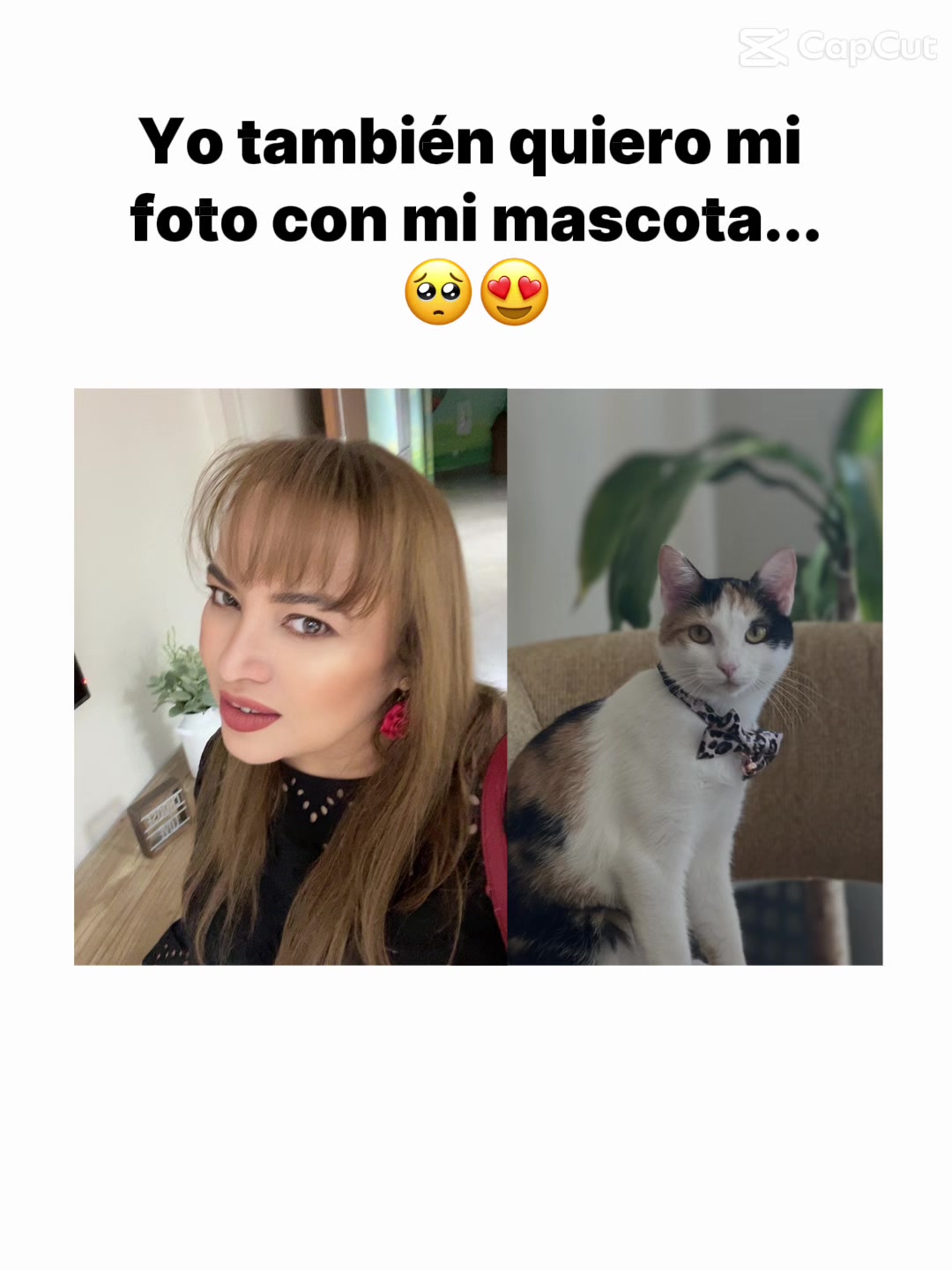 @Shyrley  🖌️🎨