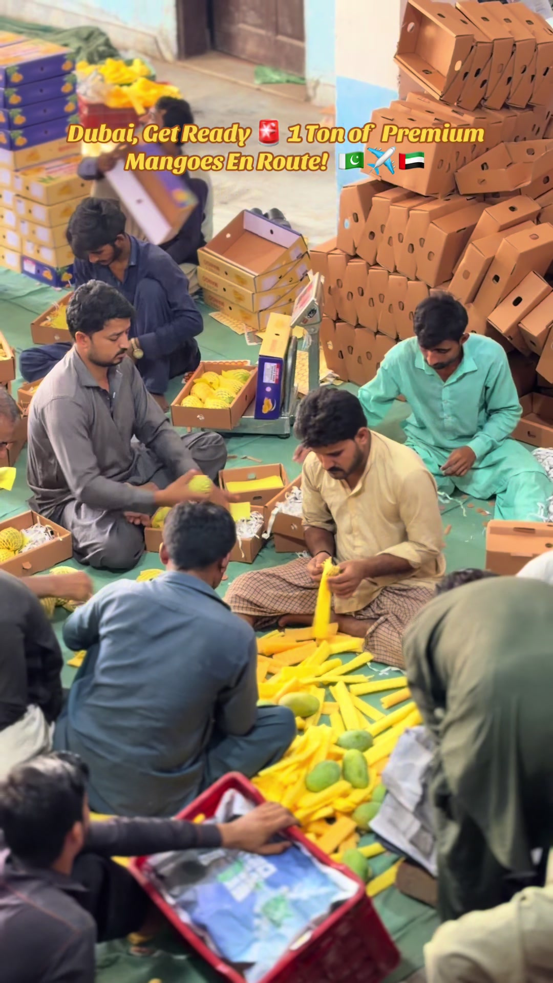 @Abdul Rahman Farms (Pvt) Ltd.