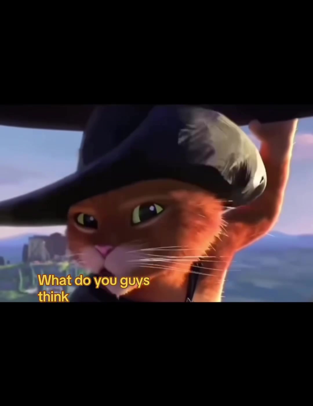 @Max The Cat