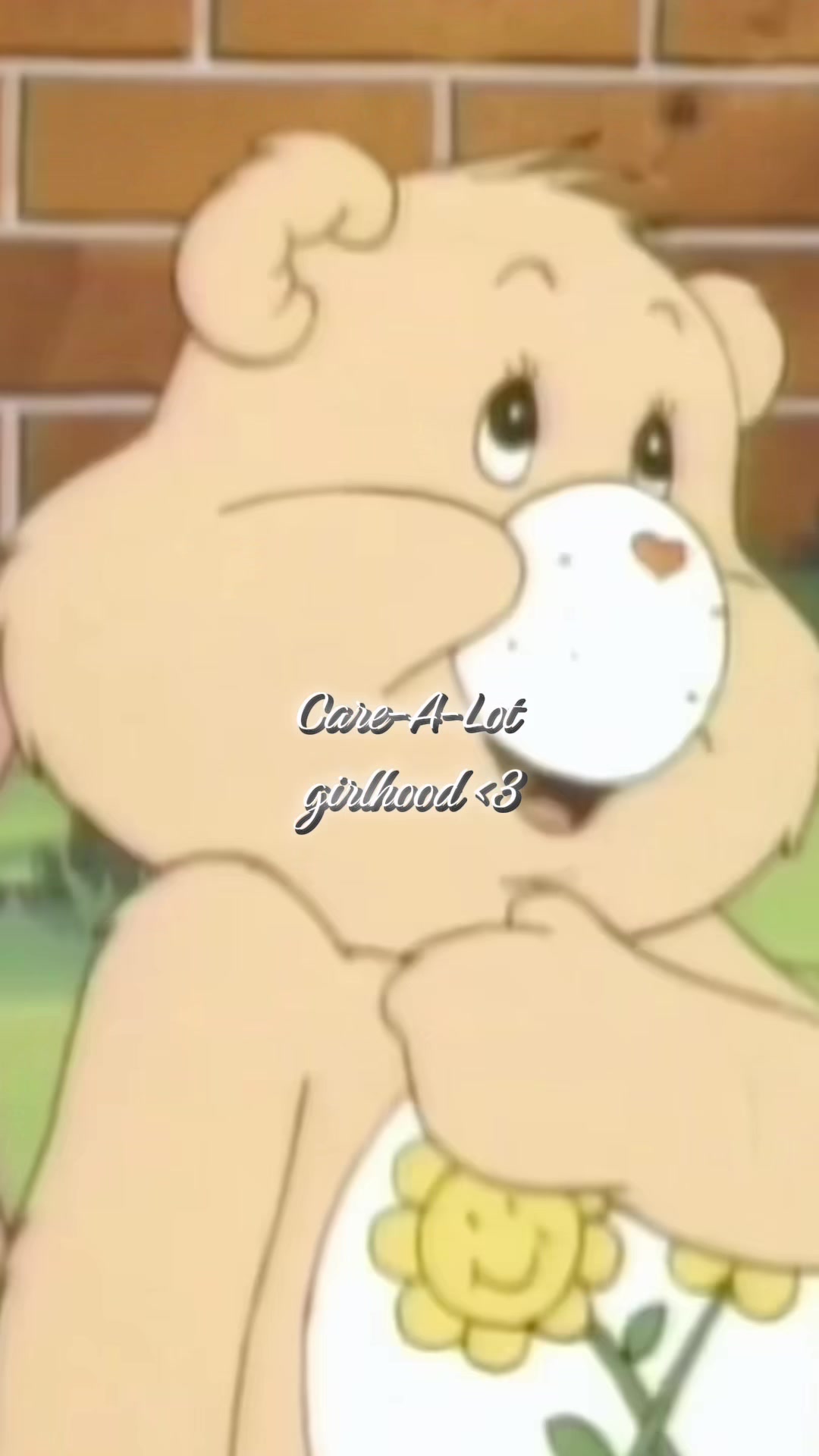 @Care Bears™