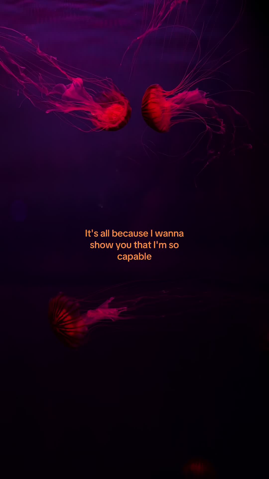 @🦇