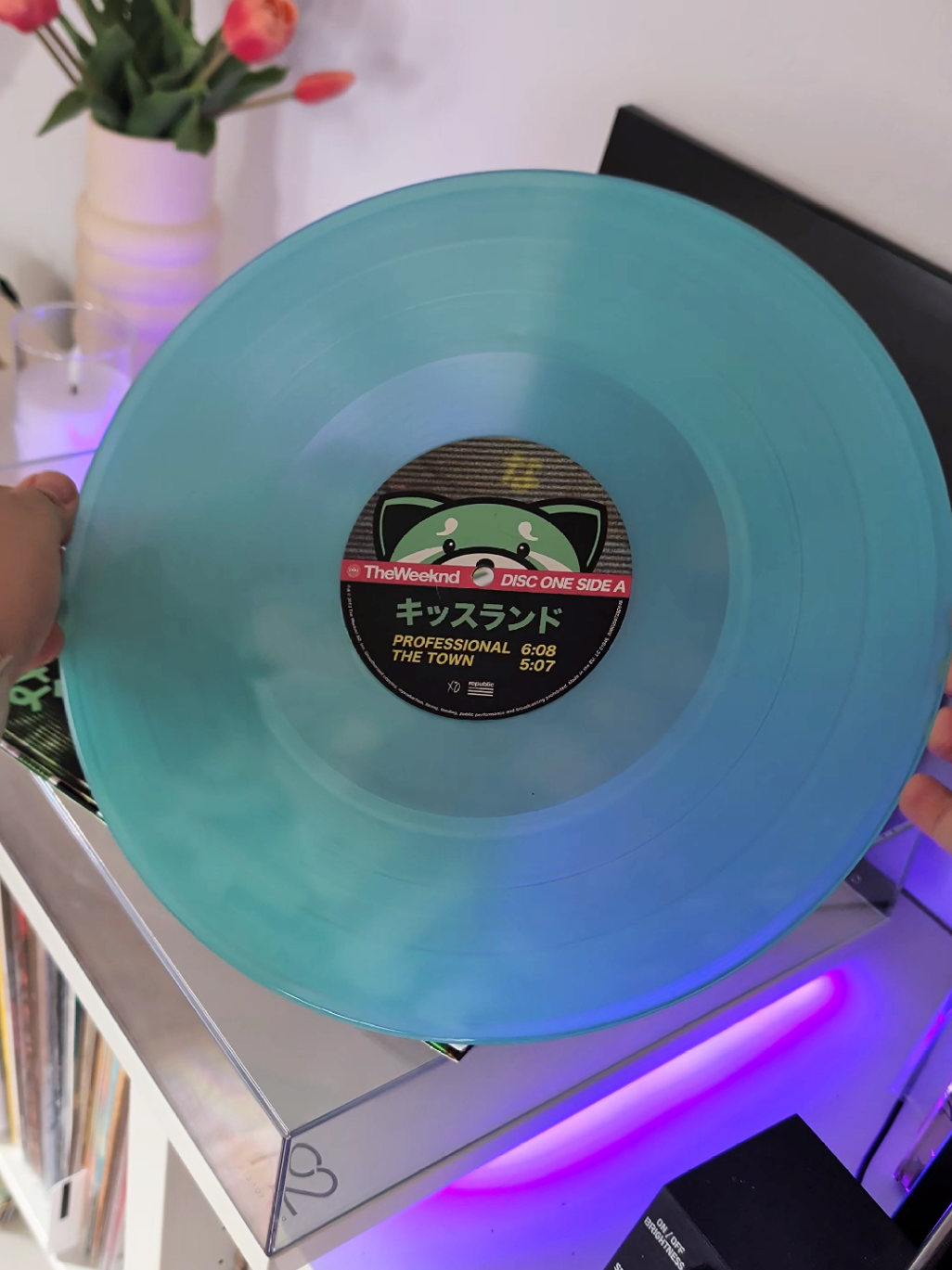 @Chrissy || Vinyl Collector 🎶✨