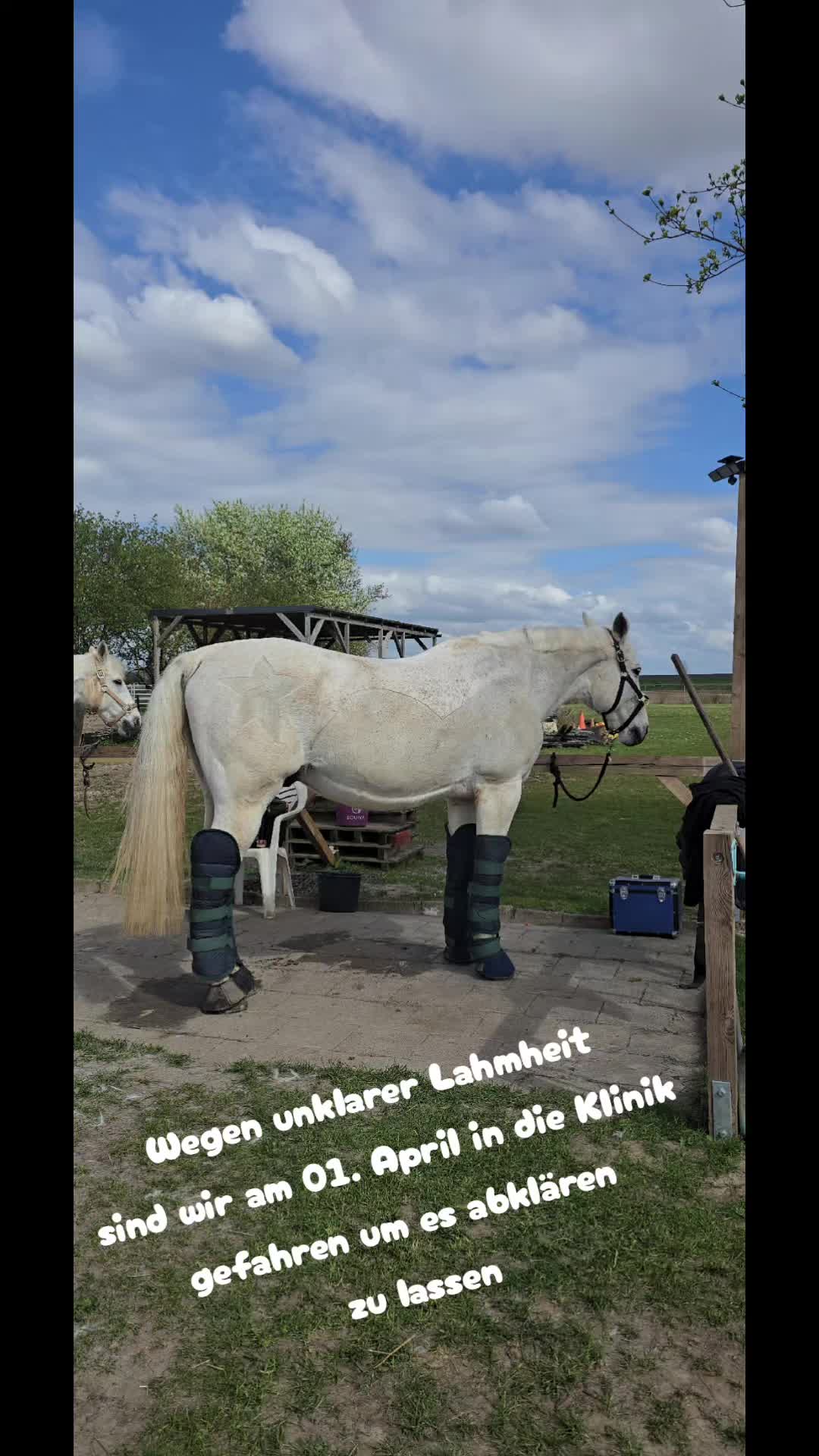 @annawissig