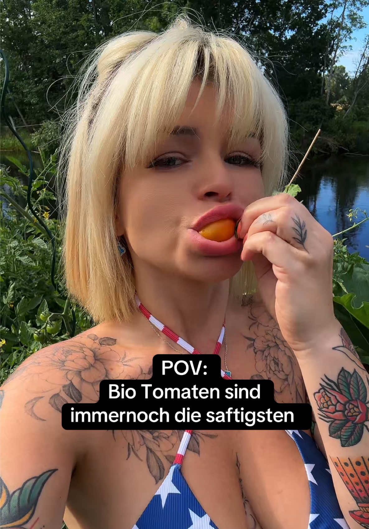 @anetafiggutneu