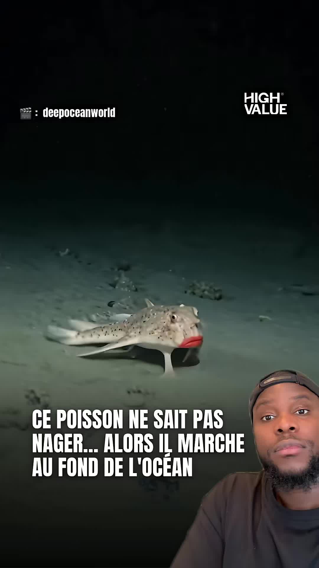 @Djamil