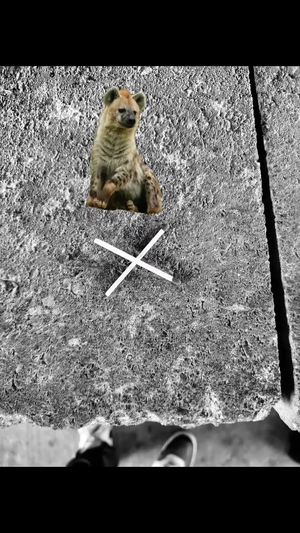@AbrahamTheHyena🆒6️⃣9️⃣