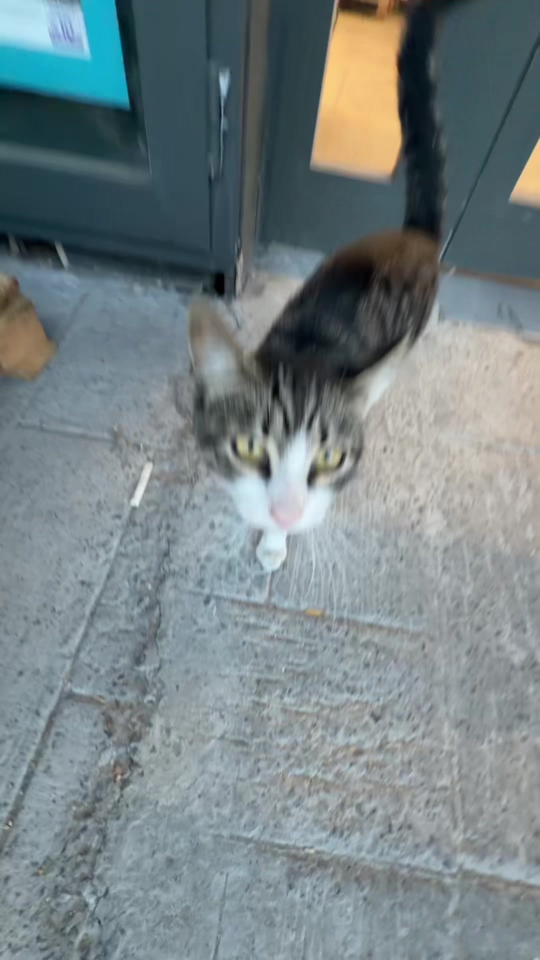 @𝒫ℯ𝓁𝒾𝓃