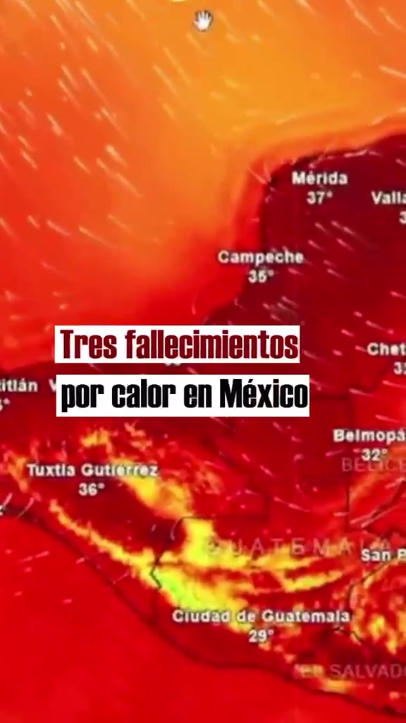@lvn_noticias