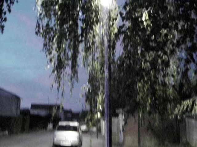 @ֶָ֢